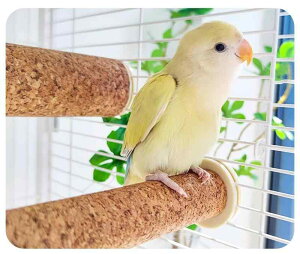 ybgpi    킢  CR IE  E  RN |[ ܌ ~܂ Vv