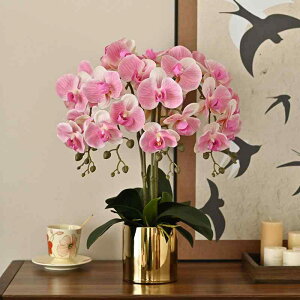  CeA    u ԕr   킢 v[g 蕨   Ӓ rO Ƌ e[u tFCN Vv i