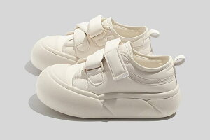  ؍  t H~ fB[X t@bV 킢  Vv C  V[Y Xj[J[ n