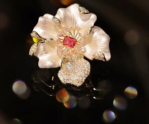 fB[X t@bV    킢 ANZT[ WG[ u[` RT[W GKg  ؍ LL CXg[ O  Mtg ̓ hV v[