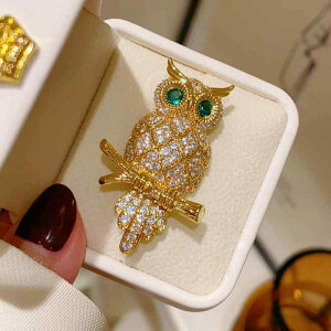 fB[X t@bV    킢 ANZT[ WG[ u[` RT[W GKg  ؍ LL CXg[ tNE  Mtg ̓ hV v