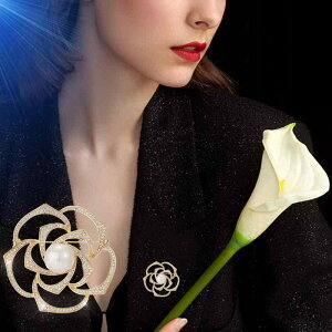 fB[X t@bV    킢 ANZT[ WG[ u[` RT[W GKg  ؍ LL CXg[  o  p[ ̓ hV v[