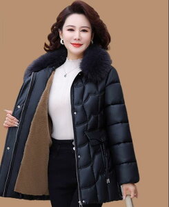 fB[X t@bV  t H~ l i  }_ ~X ~ZX v[g  ~ N R[g 傫TCY p _E  WPbg U[  R[g ~  U