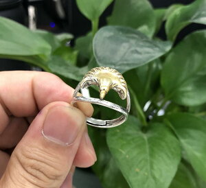 ؍  t H~ Y j t@bV   e ANZT[ WG[ O w Vv jp fB[X  킢 I  Vo[