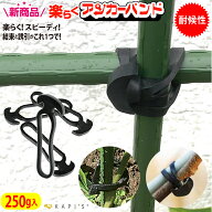 誘引クリップ 支柱結束 誘引 ひも 楽らくアンカーバンド 250g 誘引 クリップ 園芸クリップ 誘引資材 園芸…