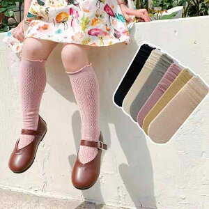 C LbY qp ؎t Ԗ  t H ̎q C \bNX 킢  zCg ubN sN CG[ 3 4 5 6 7 8