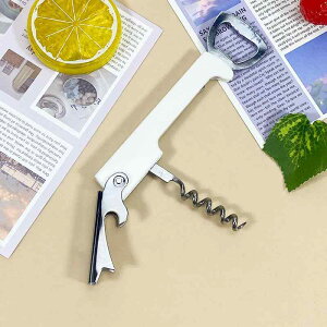 CI[vi[ @\ XeX r[I[vi[ 𔲂 gь^