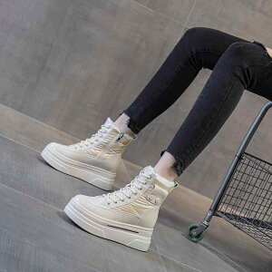 u[c fB[X  V[gu[c Xm[u[c v Cq[ 6cm 7cm ɂ g h  ~ EhgD TChWbv JWA ₷  킢