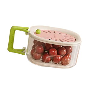  @\ fB[X Lb`pi ؂ Xg[i[ vX`bN t[c ʕ 􂢉 2w  sNn uE