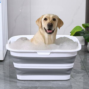 h[oXPbg ܂肽 e h[{bNX 󂩂 h[[ Ԏ[ ybgpoX^u AEghApi [{bNX