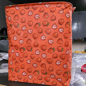 [ fB[X e Rbgl h[oXPbg ߗސ z  CG[ bh