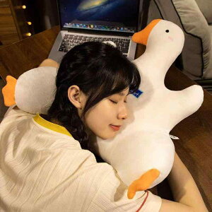 NbV fB[X ԗp ItBX  ʂ w \t@ ֎q PP Vv 킢  O[