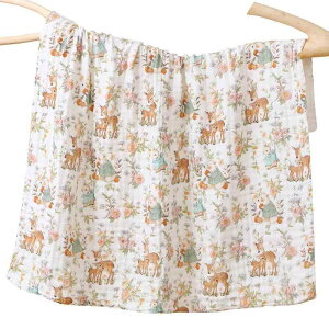 xr[ oX ^I 6d K[[ Rbg V q Ԃ 