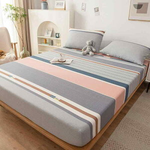 xbhJo[ fB[X Y  xbhV[c xbhpbh }bgXJo[ hoJo[ Jo[ n a 150 180 200cm