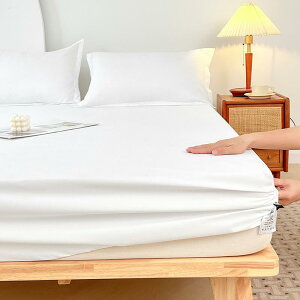 xbhV[c h fB[X Y Q 􂦂 n TPU ی Jo[  V[c čKi NC[TCY LOTCY