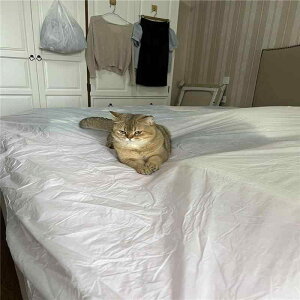xbhJo[ fB[X Y h ĝ xbhV[c u h_j ƒp zep 唻 VO Z~_u _u L A  Lk Soht