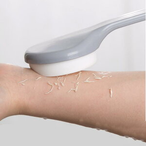 {fBuV w􂢃uV X|W O[  C }bT[W jp