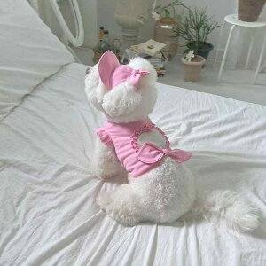 ybg fB[X ^ L t TVc ^Ngbv Xq Zbg ȍa 啗 sNn u[ O[ CG[ fj
