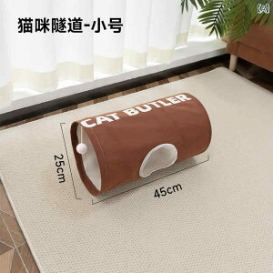 Lp Lgl LnEX L炵 ܂肽ݎ z XgX V xe(x20)