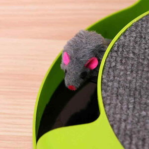 L  gl ] Lp ߋ ybgpi XgX Vѓ(x10)