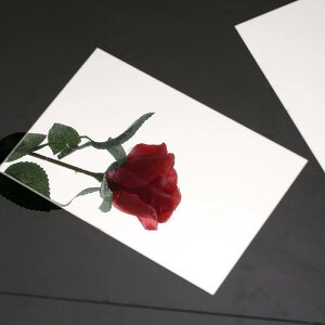  AN Ǌ| p hbT[   EH[~[ S _炩 g ` ~` n[g DIY