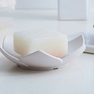 ΌP[X fB[X Y VR @̉ \[vfBbV ؂ O[ u[  O[   sN