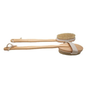 {fBuV jp p ؖ  }bT[W w ̐ Onh ؐ