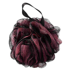 p{[ fB[X Y p  X|W Aălbg ݂艺Rt      a13cm