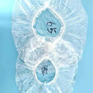 ĝăwALbv fB[X Y PEf  h h Lk V[Lbv oXLbv