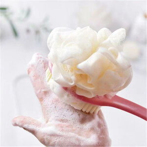 {fBuV fB[X Y oXuV w􂢃uV iC _炩 \tg  ₷ C u[ sN p[v