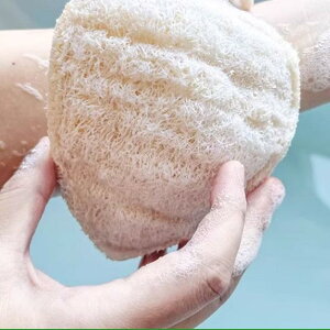 {fB^I LbY qp uV }bT[WuV w`} f 킢   N} S q} ~bL[