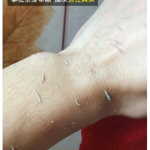 ^I jp ʑe C w ƒp p^I _J[