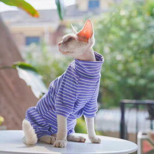 ybg  L lr t ё΍ GAR  XgCv 킢 CG[ u[ uE XS S M L XL