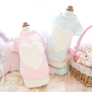 ybg fB[X L  t TVc wS Jbg\[ 킢  u[ sNn