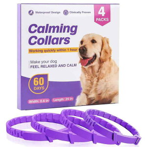  L p ybgp bNX ߉\ p[v O[ ubN ^ L S SL  XgXy