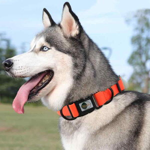 p ybgp  L ^ ^ ^ PVC h Up [v       sN IW F ~gO[ GhO[ sN JWAX^C