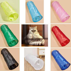 L gl Lp ܂肽݉\ |GXe  a25cm 70cm ybgp(x2)