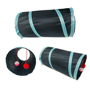 L gl Lp  ܂肽  |GXe ϖ 50cm   F  sN  AWA k AWA (x2)