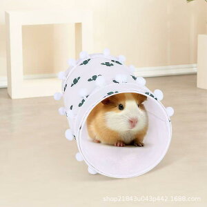 p gl nX^[ bg nlY~  `` z VO O҂ 킢 pXeJ[