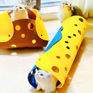 L gl LnEX tFg  Lp ܂肽ݎ [ B u[ CG[