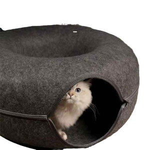 L| ybgxbh Lgl E[tFg h[ic^ ʔN [O[ O[ F sN 킢 