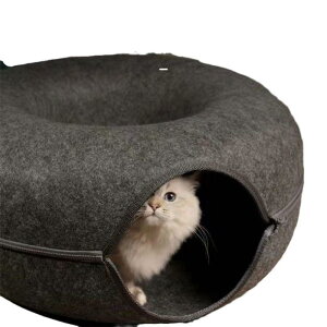 L? Lpxbh ybgxbh E[tFg h[ic^ ʔN [O[ O[ XJCu[ sN 킢(x5)