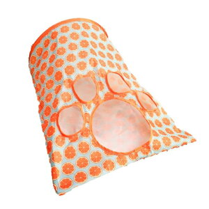 L  gl ^ ʂ  ݕt L ϊ L nEX |GXe(x2)