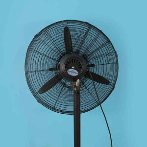 @ Jo[ Sʕی ƒp @Jo[ |GXe ho @lbg wݖh~ ubN