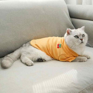 ybg p TVc |Vc tH    ig 킢 F IW ăO[ CG[(x2)