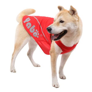 hbOEFA bV ^Ngbv  L ybg  3D ʋC  JWA  u F IW(x4)