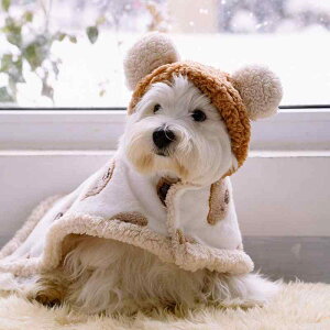   V[ uPbg F  |` ^ ^ h t[X P[v sN R[q[(x2)