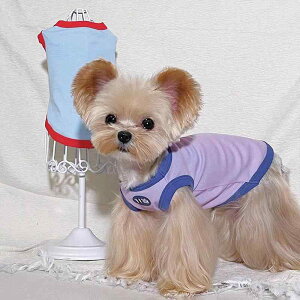 ybg ^p [NV[eA V[Y[ }`[Y ʋC Lk oCJ[ wS ig   u[ p[v |GXe