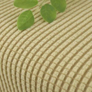 ֎qJo[ iq `FAJo[ Lk _CjO`FA ƒp 􉽊w͗l ʏ ~` iq Ĕ  [D Cbh  ĉ n [ JtF D IW [JtF F J