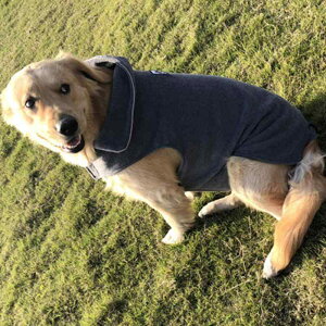 ybg   H~   ybg t[X  o[Vu xXg O[